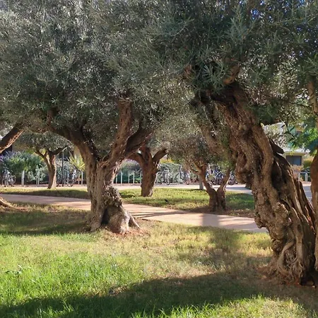 Apartamento Vistas Al Montgó *